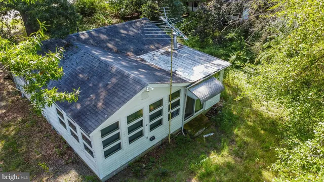 a view of a backyard with plants