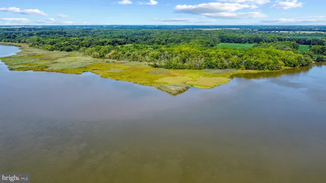 a view of an ocean and beach