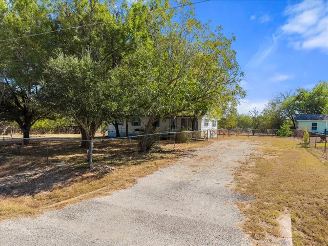 a view of a yard with plants and trees