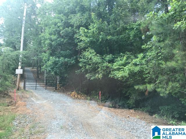 Mountain View Vance, AL 35490 - Photo 12 of 28