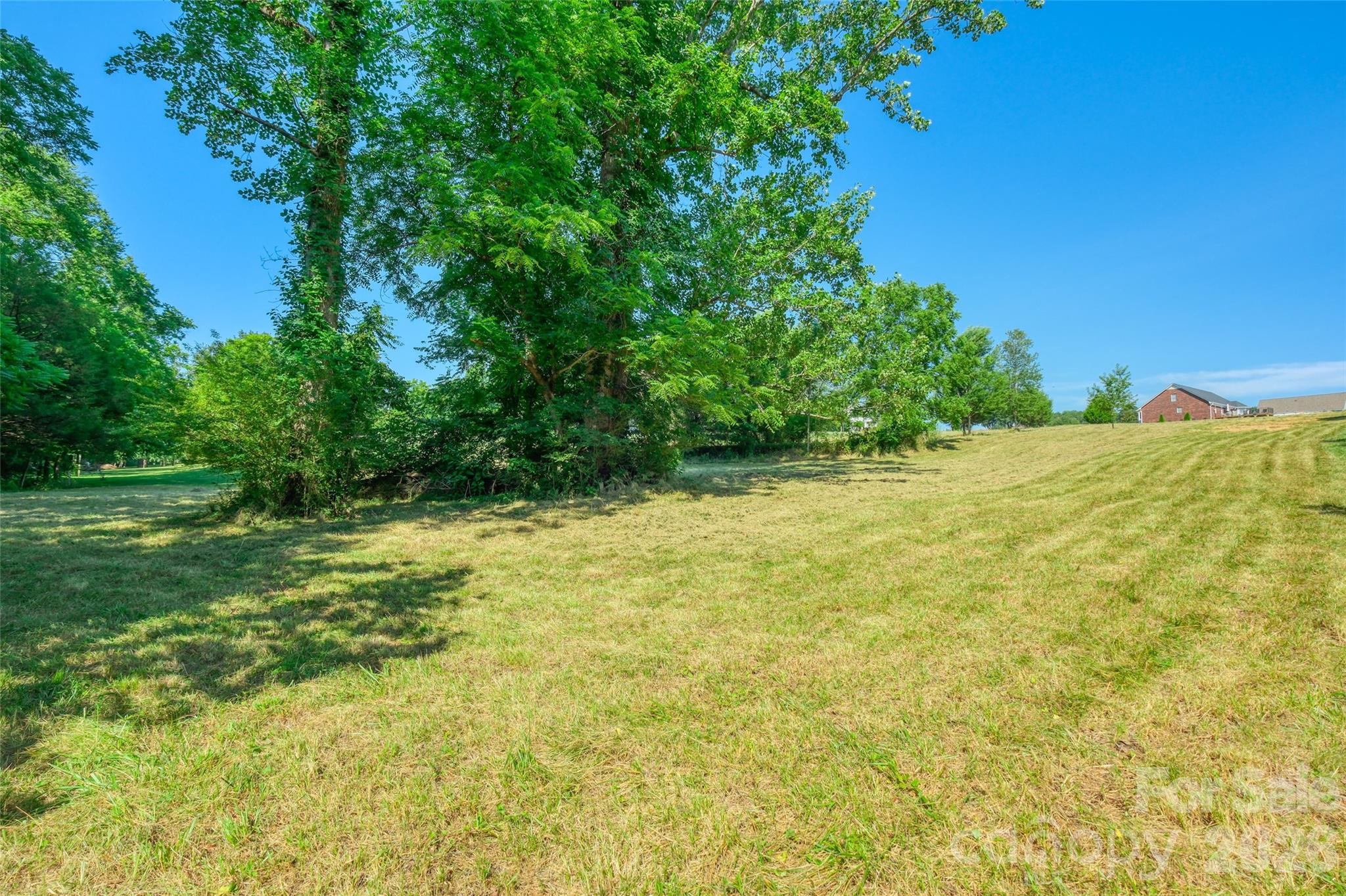 Lot 3 Crepts Branch Road, Unit 3 Locust, NC 28097 - Photo 18 of 36 a view of a yard with a tree