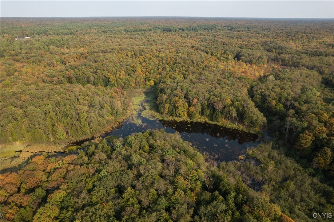 4818 Bice Road Worth, NY 13659 - Photo 39 of 47