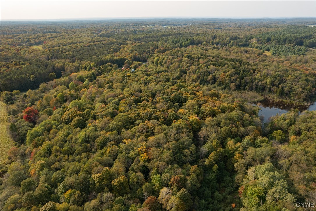 4818 Bice Road Worth, NY 13659 - Photo 40 of 47