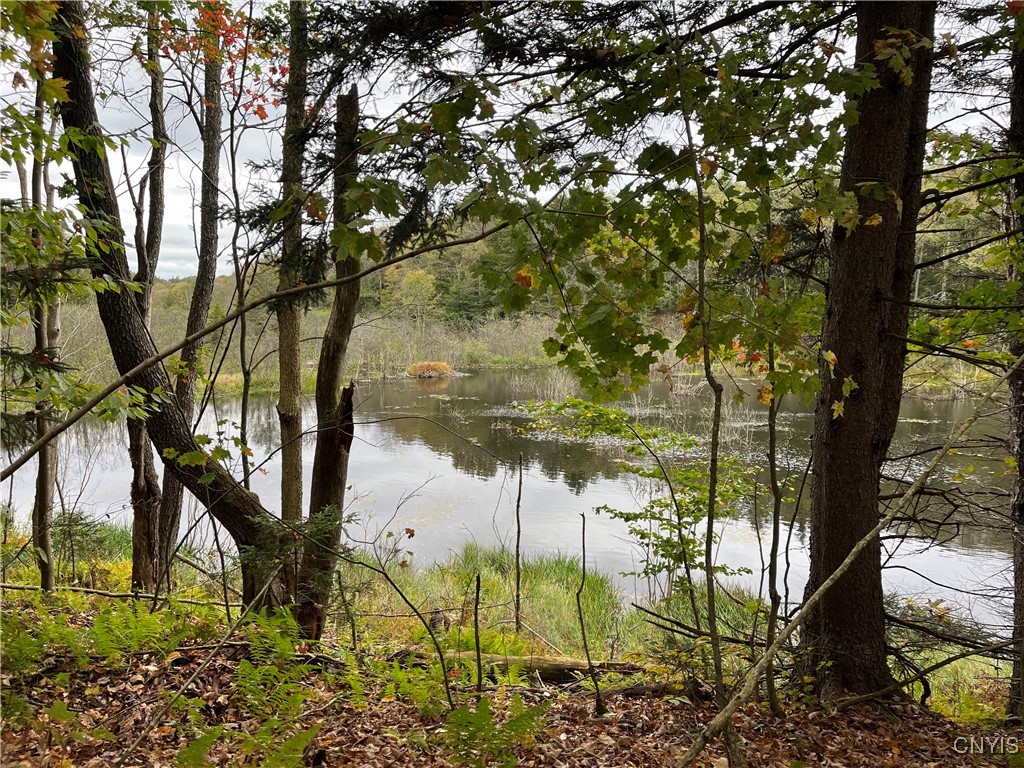 4818 Bice Road Worth, NY 13659 - Photo 46 of 47