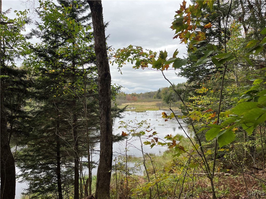 4818 Bice Road Worth, NY 13659 - Photo 47 of 47