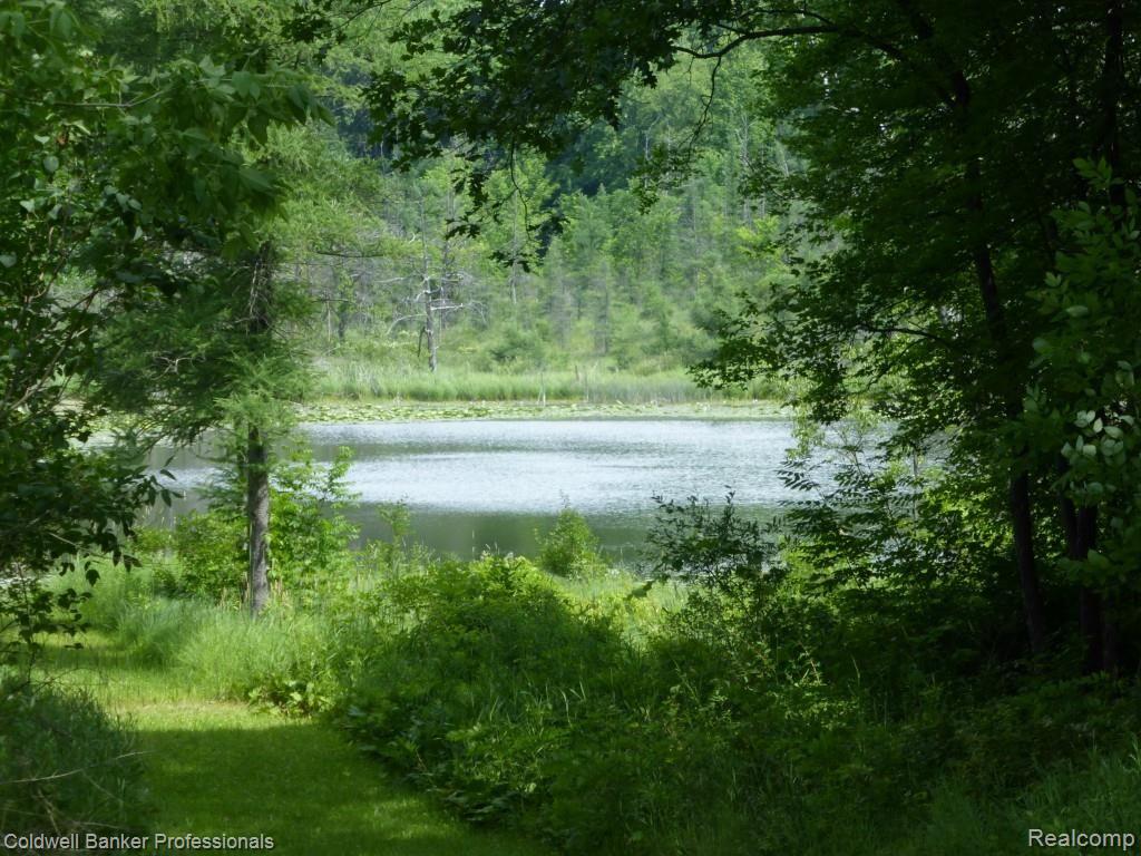 11350 Clark Road Davisburg, MI 48350 - Photo 42 of 46 private lake.jpg