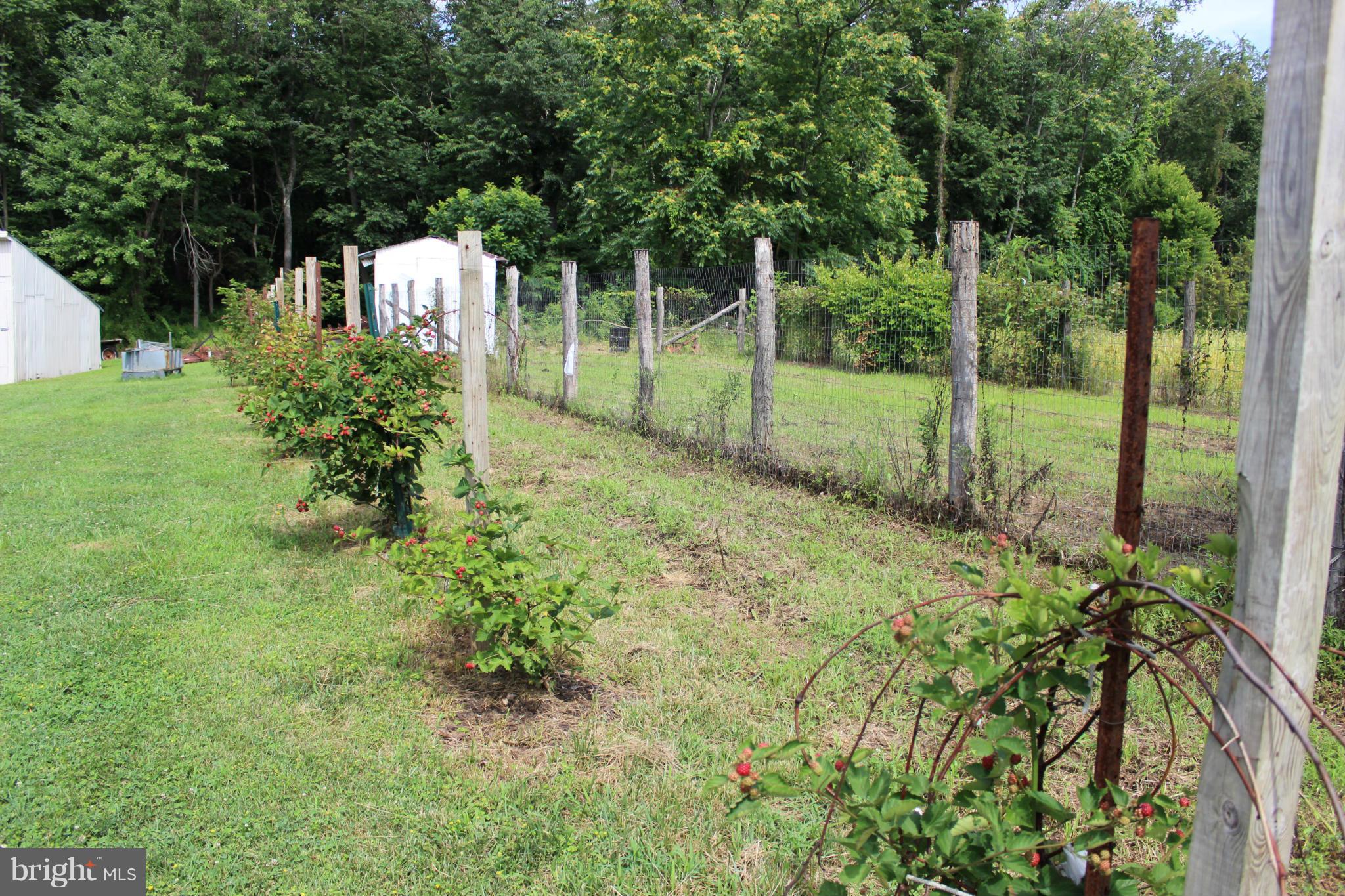2880 Basford Road Frederick, MD 21703 - Photo 11 of 17 a view of backyard with green space