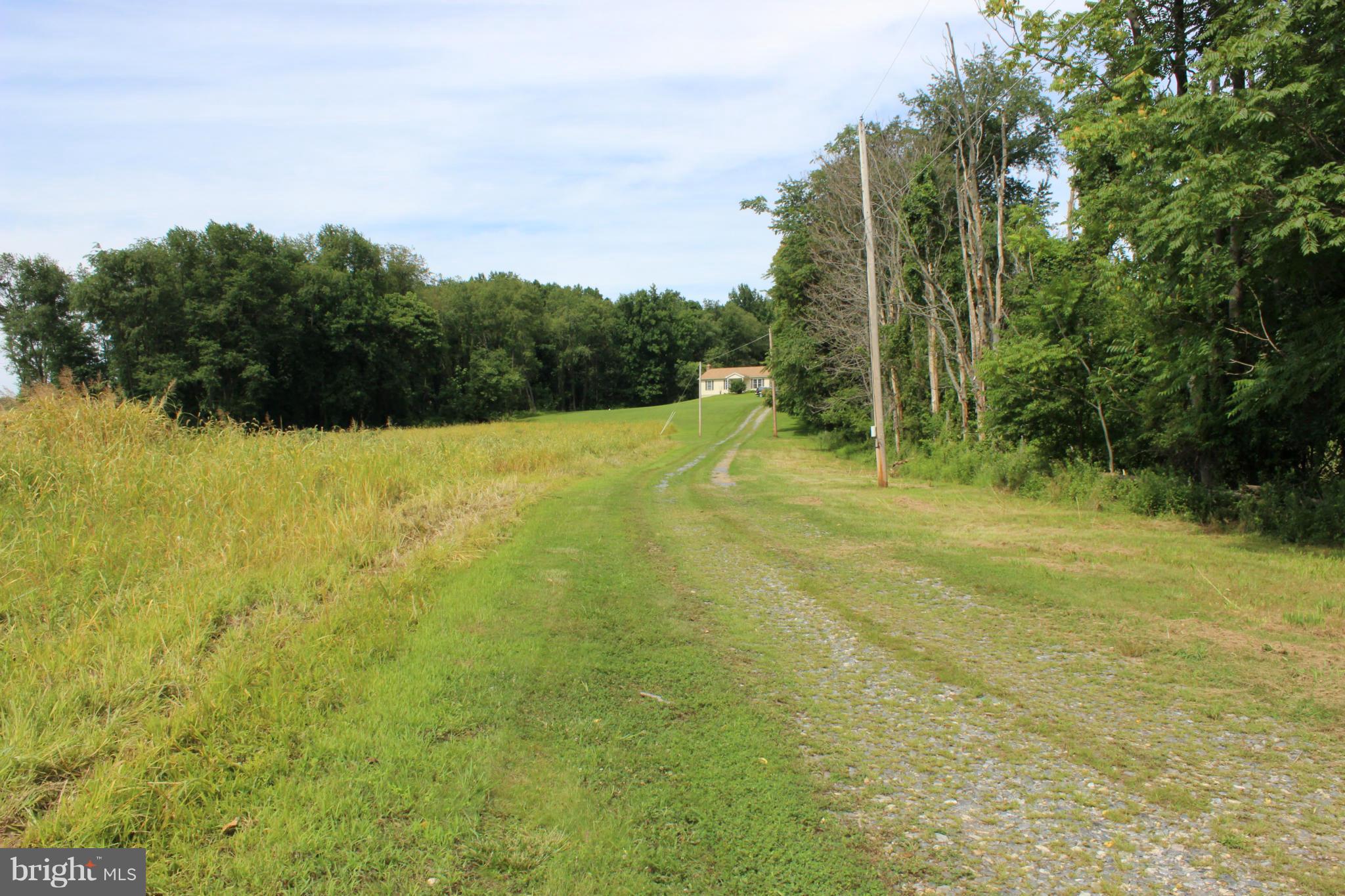 2880 Basford Road Frederick, MD 21703 - Photo 16 of 17 a view of a field with trees in the background