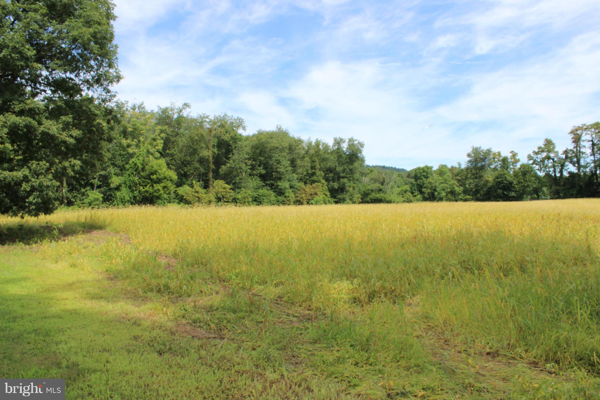 2880 Basford Road Frederick, MD 21703 - Photo 5 of 17 a view of yard and ocean