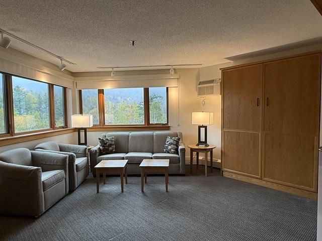 90 Loon Mountain Road, Unit 1025 AD Lincoln, NH 03251 - Photo 7 of 21