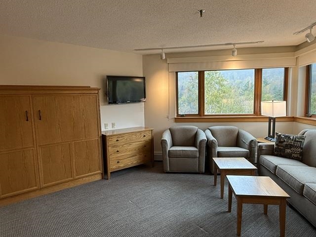 90 Loon Mountain Road, Unit 1025 AD Lincoln, NH 03251 - Photo 9 of 21