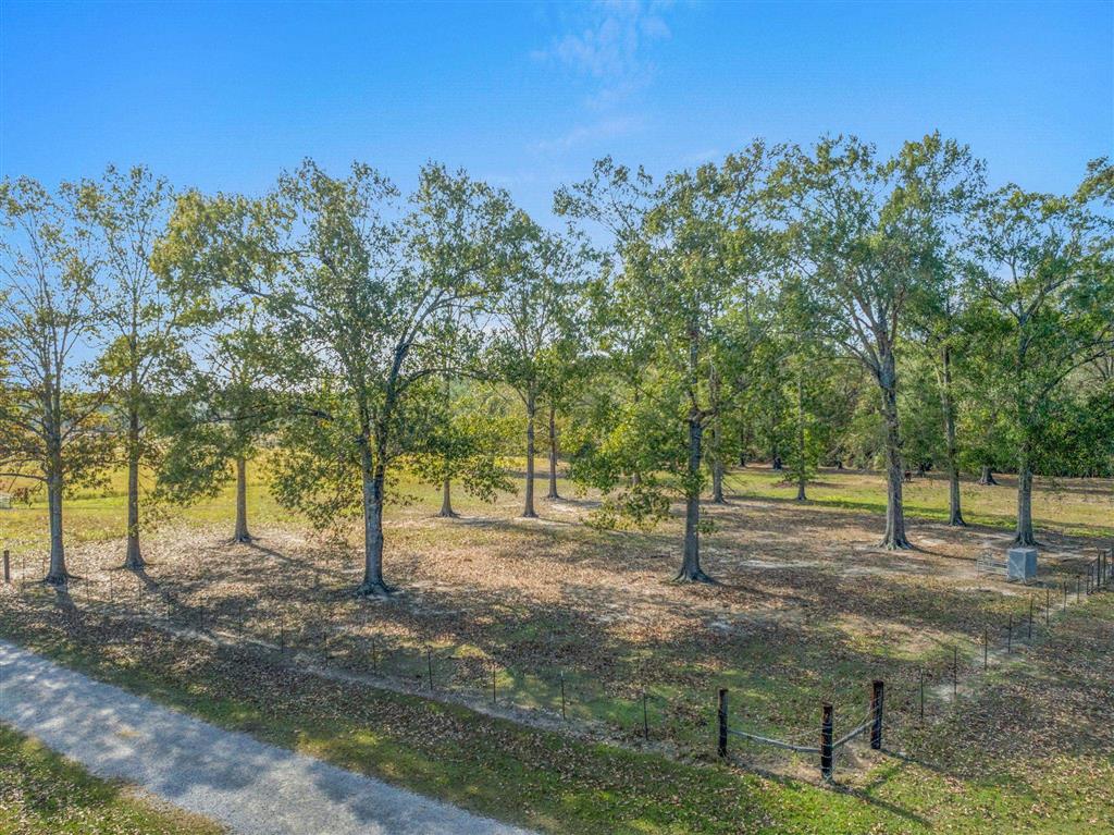 742 Joe Lorenz Road Singer, LA 70660 - Photo 4 of 25