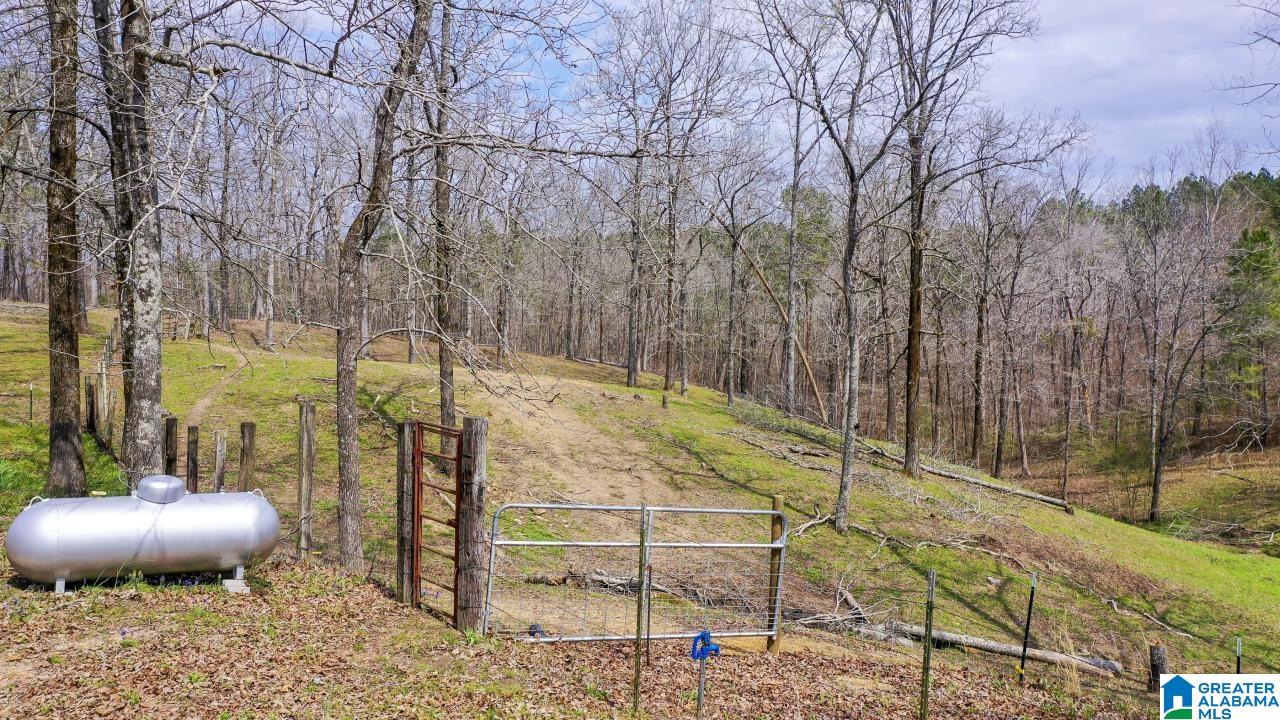 615 Hilton Drive Cleveland, AL 35049 - Photo 42 of 50