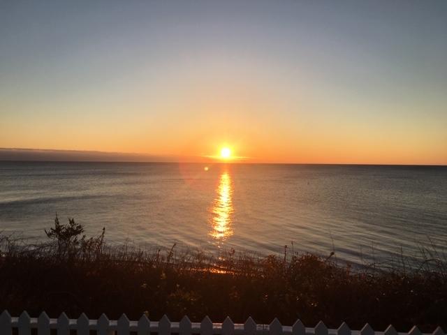 38 Hydrangea Lane, Unit 38 Mashpee, MA 02649 - Photo 41 of 43 IMG_3774