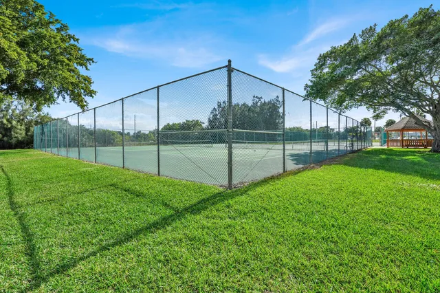 a view of a backyard with a garden and palm tree
