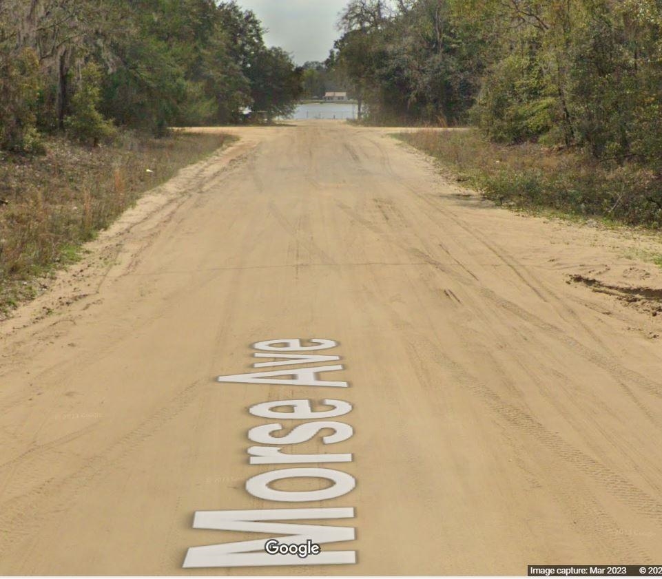Tbd Morse Avenue Interlachen, FL 32148 - Photo 1 of 4