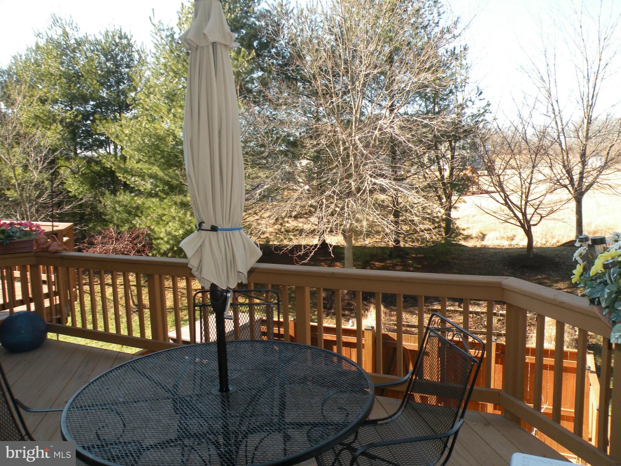 1376 Escapade Court Riva, MD 21140 - Photo 14 of 30 Deck Backs to Trees