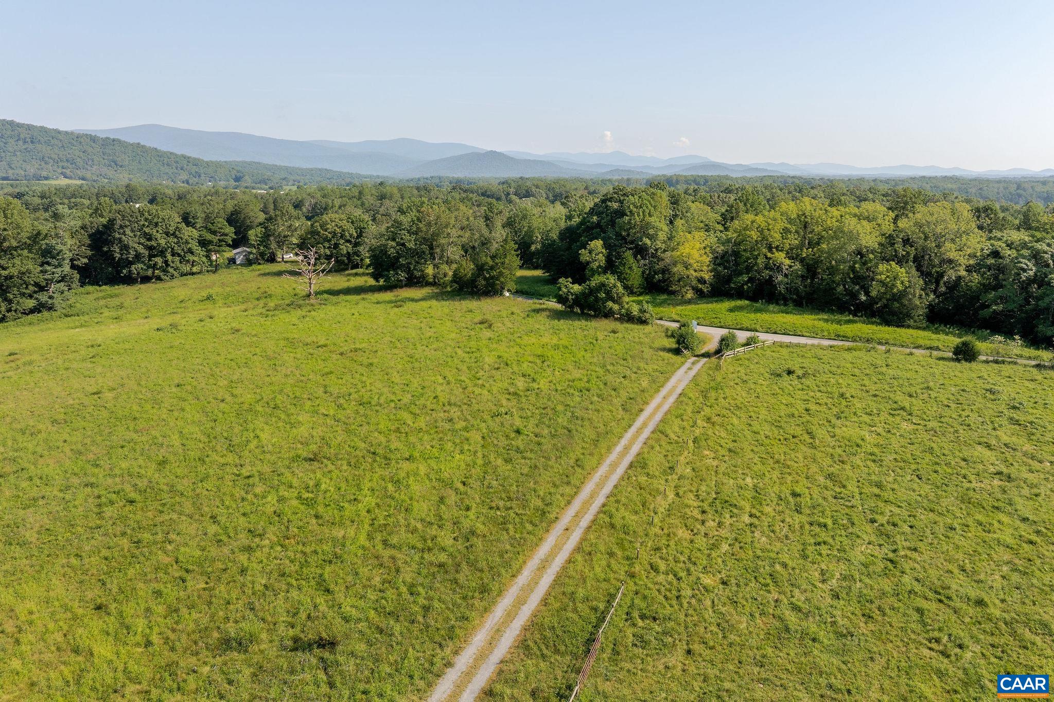 955 Simmons Gap Road Dyke, VA 22935 - Photo 3 of 33 a view of a big yard with large trees