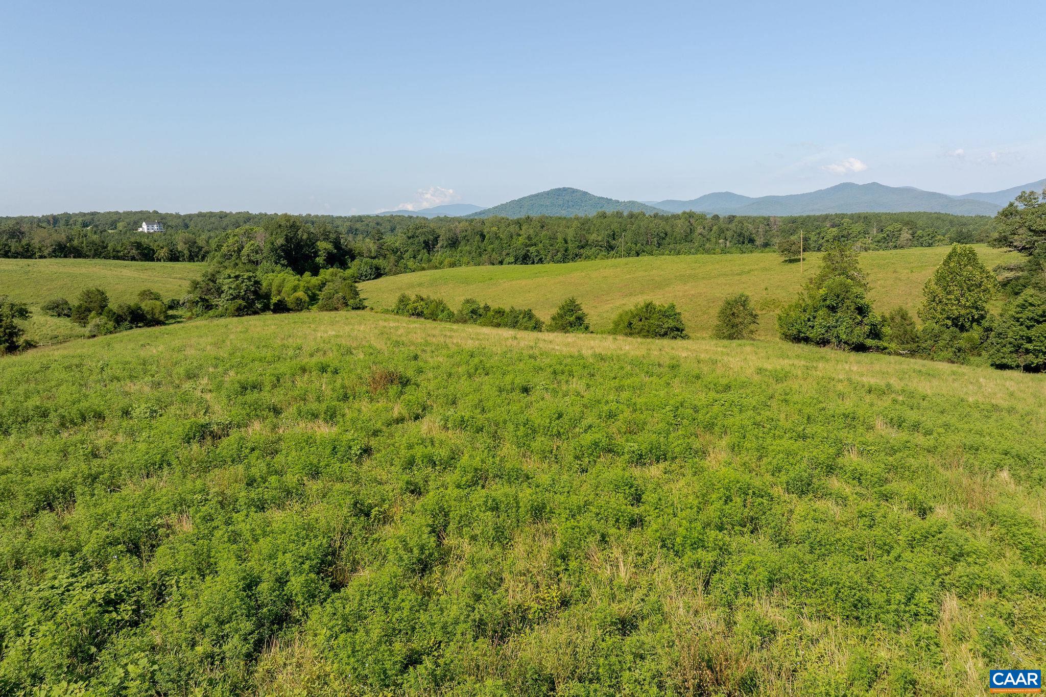 955 Simmons Gap Road Dyke, VA 22935 - Photo 6 of 33 a view of an outdoor space and a yard