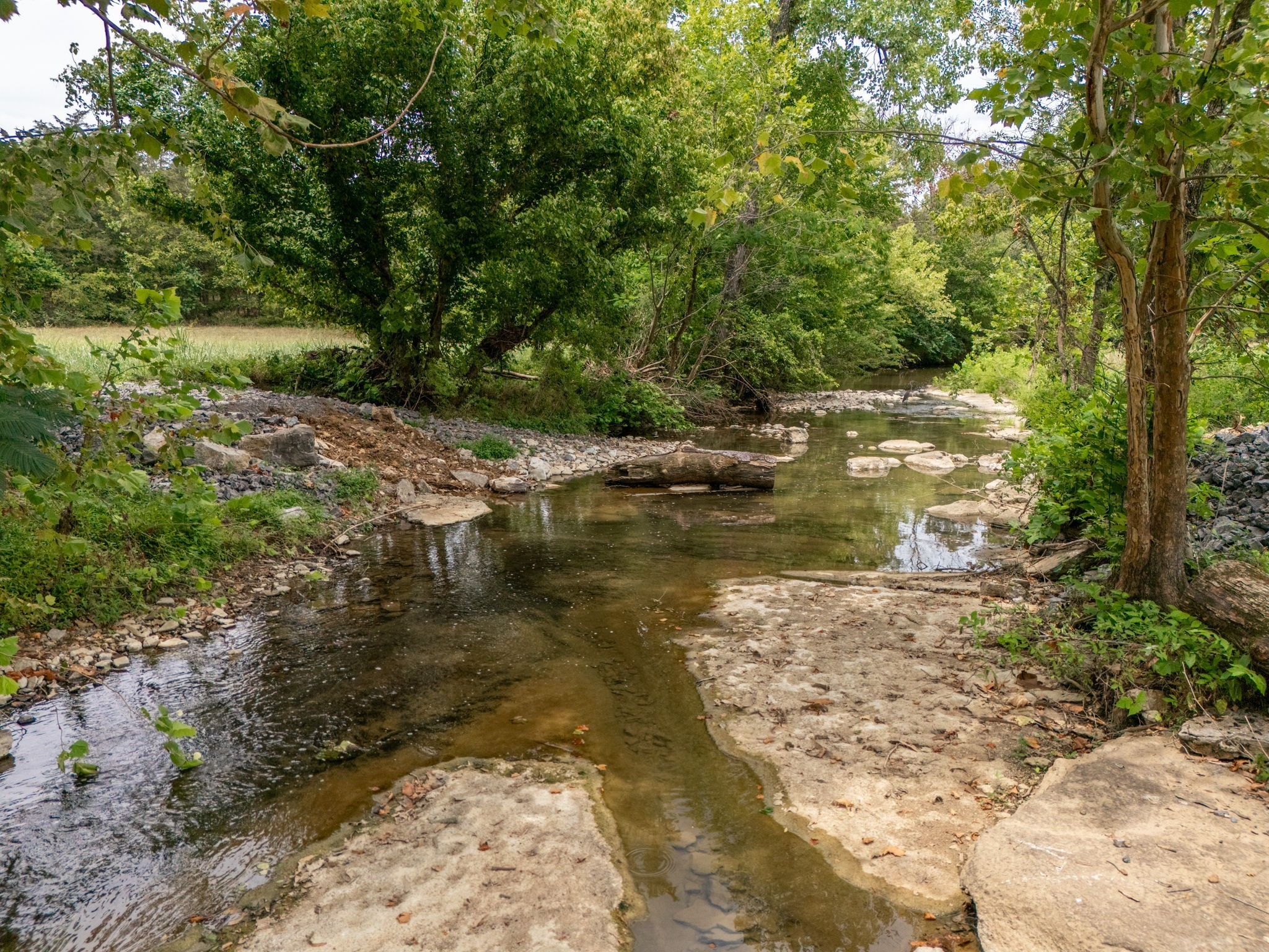 3460 Bradyville Road Readyville, TN 37149 - Photo 8 of 21