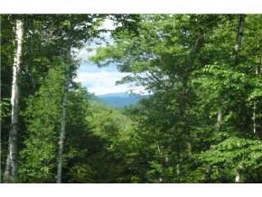 1195 Roberts Road Weathersfield, VT 05156 - Photo 6 of 9