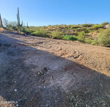 a view of a road with a yard