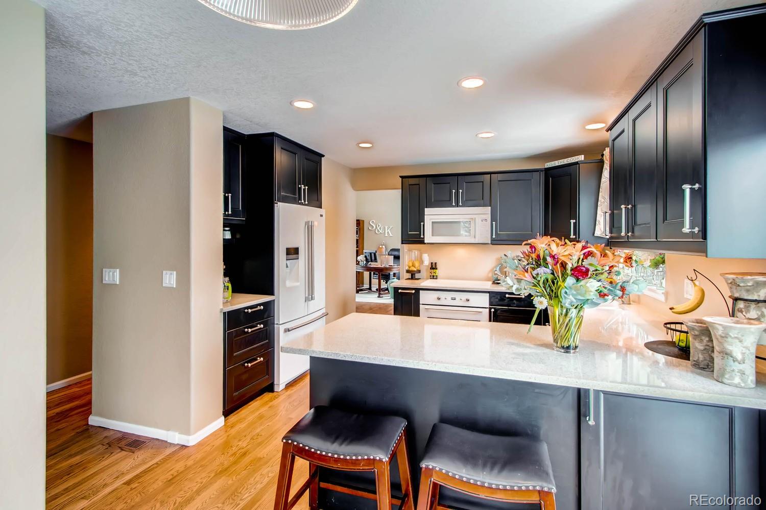 10080 Blackbird Place Highlands Ranch, CO 80130 - Photo 4 of 28