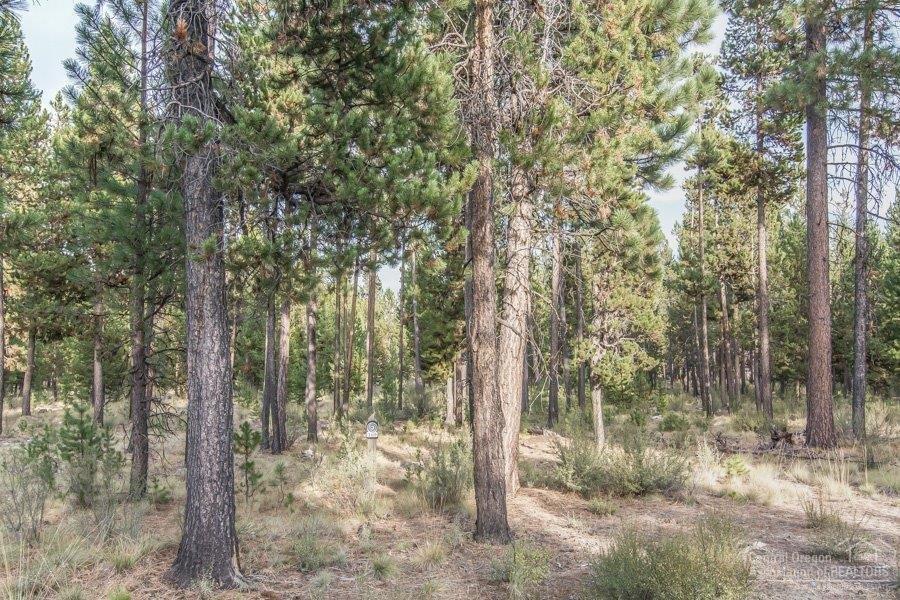 56456 Sunstone Loop Bend, OR 97707 - Photo 5 of 15 Additional Photo
