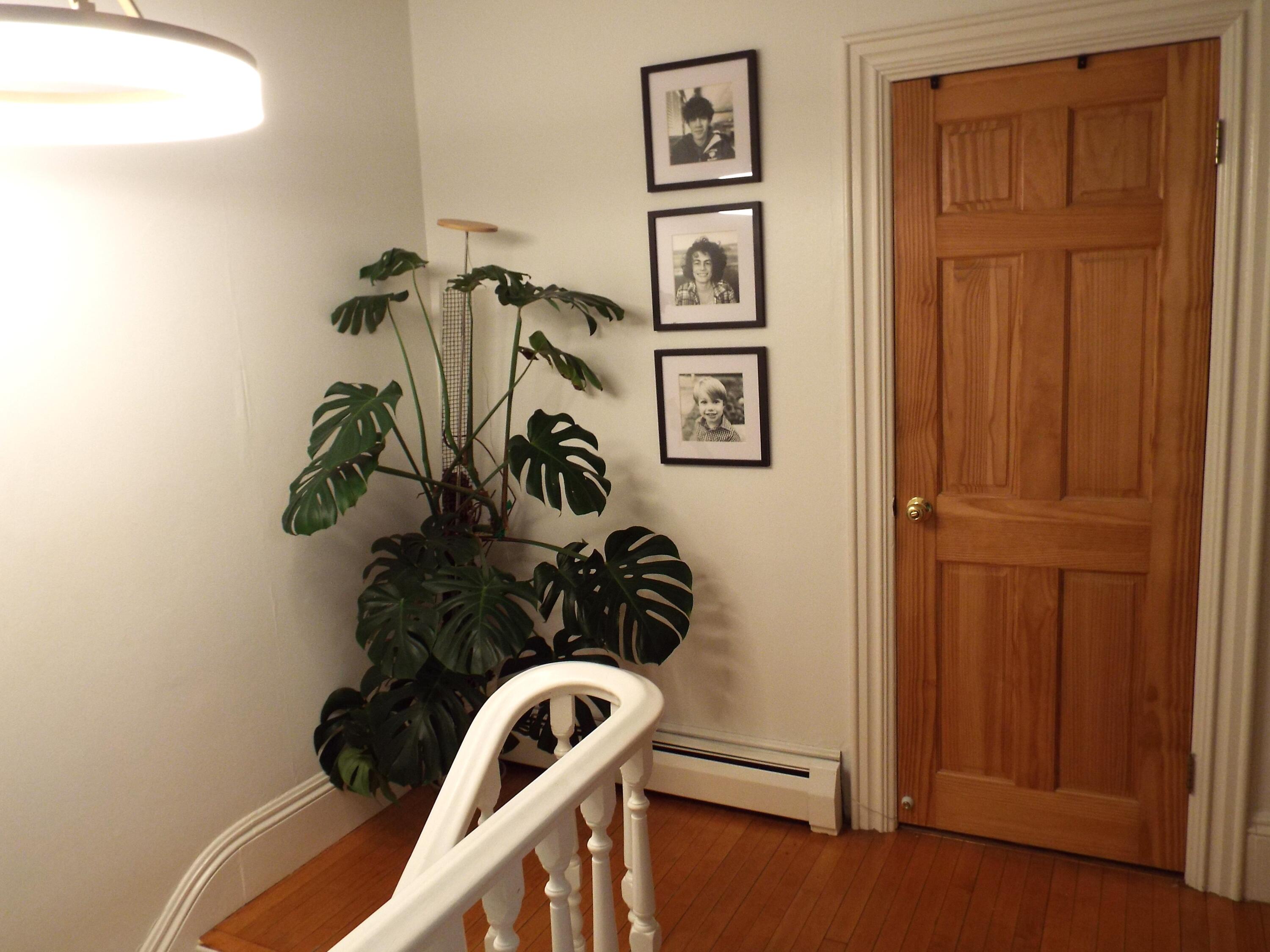 48 6th Street Bangor, ME 04401 - Photo 45 of 55 Moscone 47