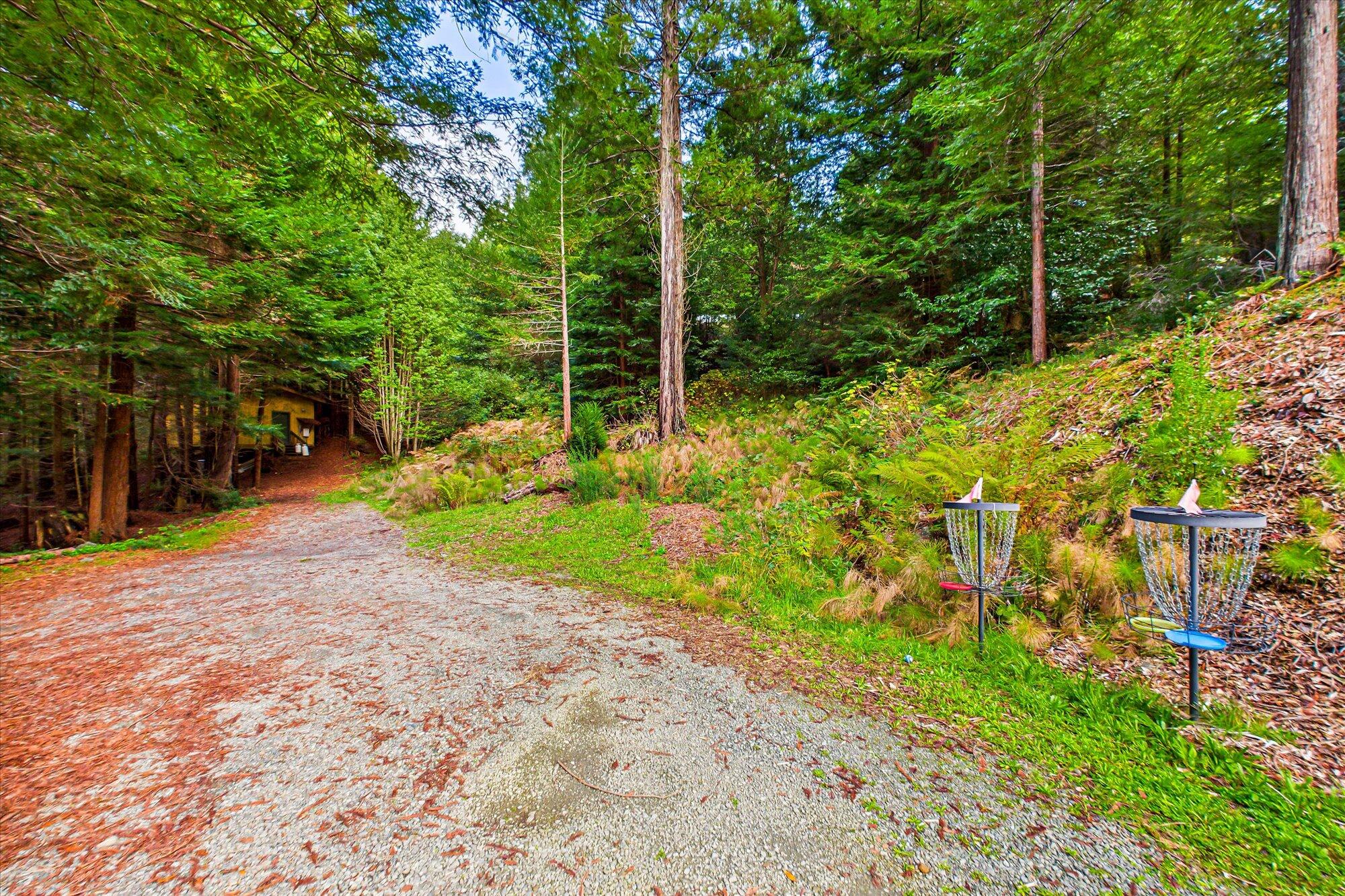 220 Madrone Road Weott, CA 95571 - Photo 32 of 35