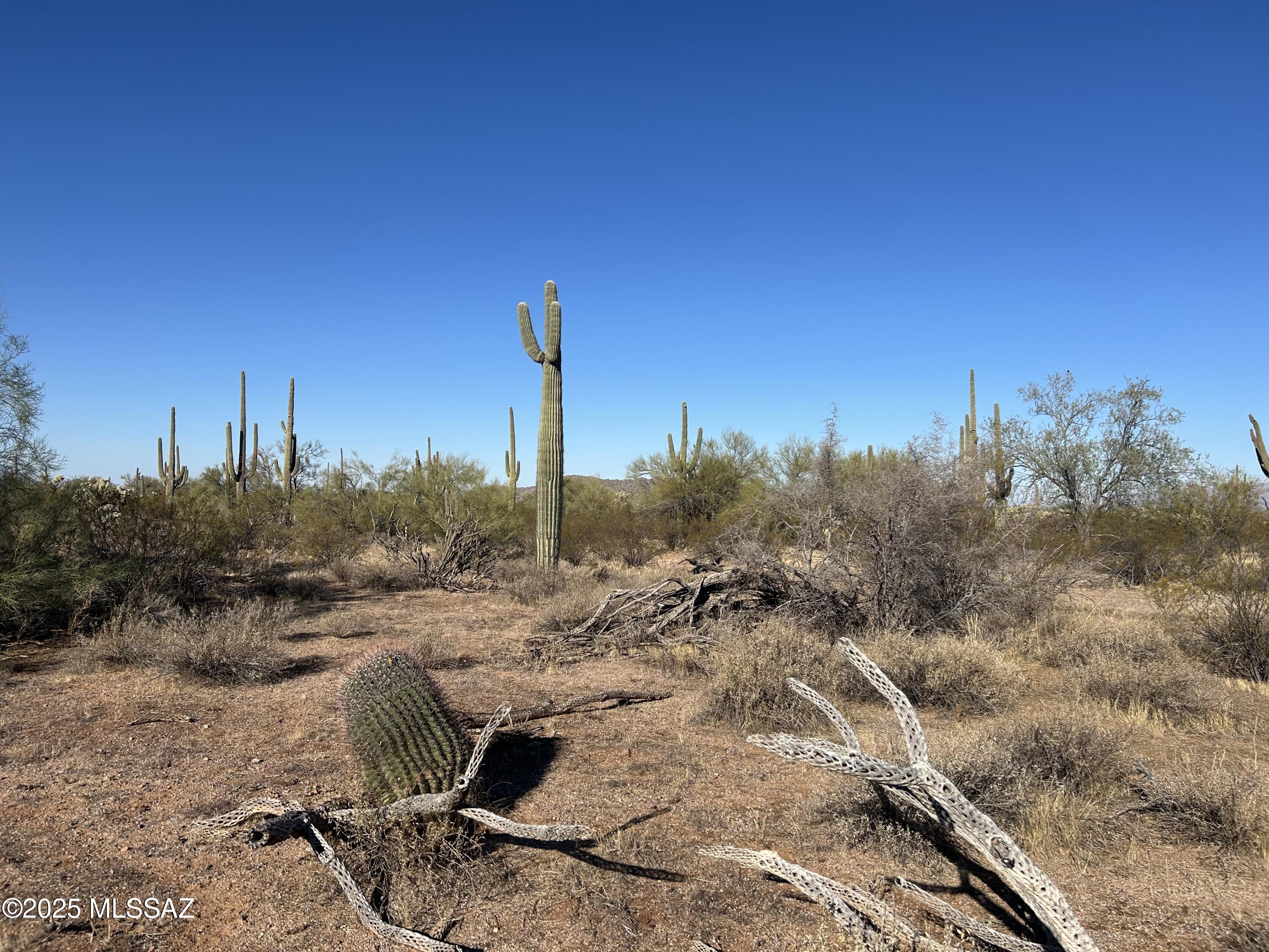 X South Cattle Tank Road Marana, AZ 85658 - Photo 5 of 8