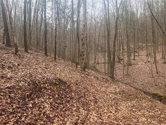 $219,900 | V/l Bunker Hill Road, Randolph, NY 14772