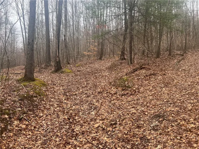 $219,900 | V/l Bunker Hill Road, Randolph, NY 14772
