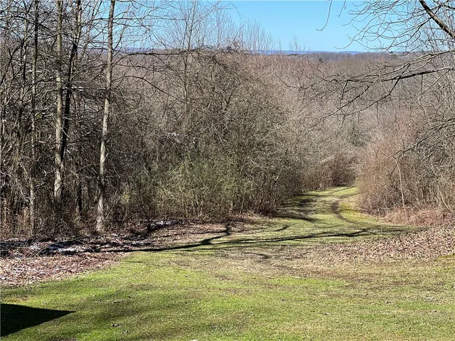 $219,900 | V/l Bunker Hill Road, Randolph, NY 14772