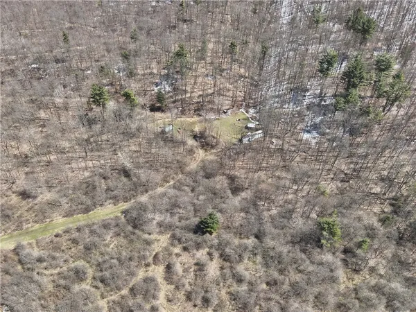 $219,900 | V/l Bunker Hill Road, Randolph, NY 14772