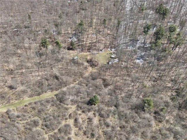 $219,900 | V/l Bunker Hill Road, Randolph, NY 14772