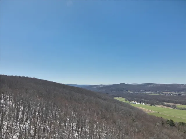 $219,900 | V/l Bunker Hill Road, Randolph, NY 14772
