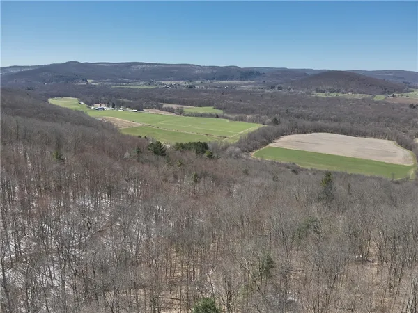 $219,900 | V/l Bunker Hill Road, Randolph, NY 14772