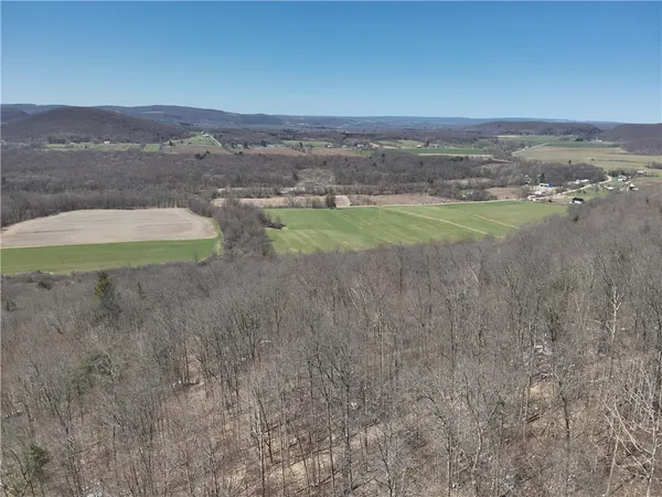 $219,900 | V/l Bunker Hill Road, Randolph, NY 14772