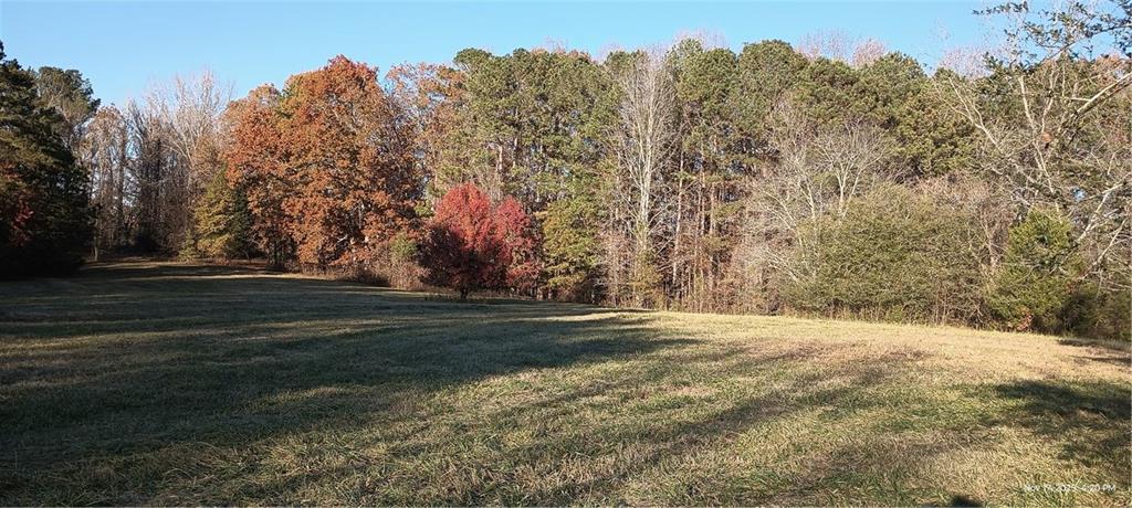 810 Nix Road Milton, GA 30004 - Photo 3 of 6 a view of dirt yard with large trees