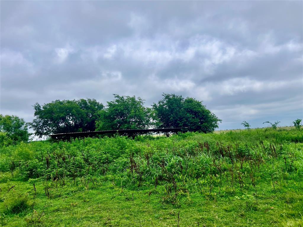 5193 County Road Blossom, TX 75416 - Photo 15 of 15 a view of a yard