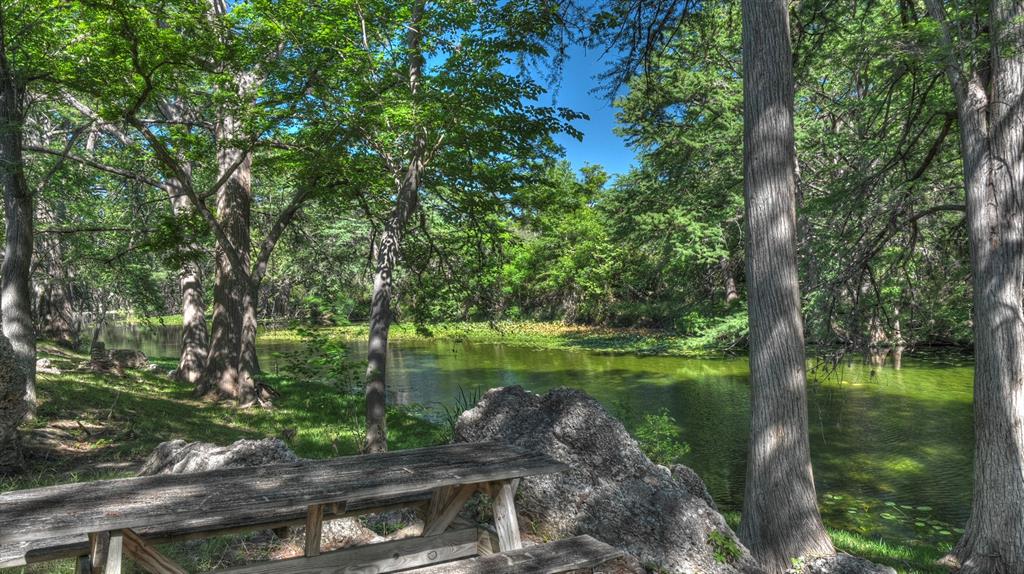 187 Roy Chisum Road Leakey, TX 78873 - Photo 38 of 40 a lake view with a garden
