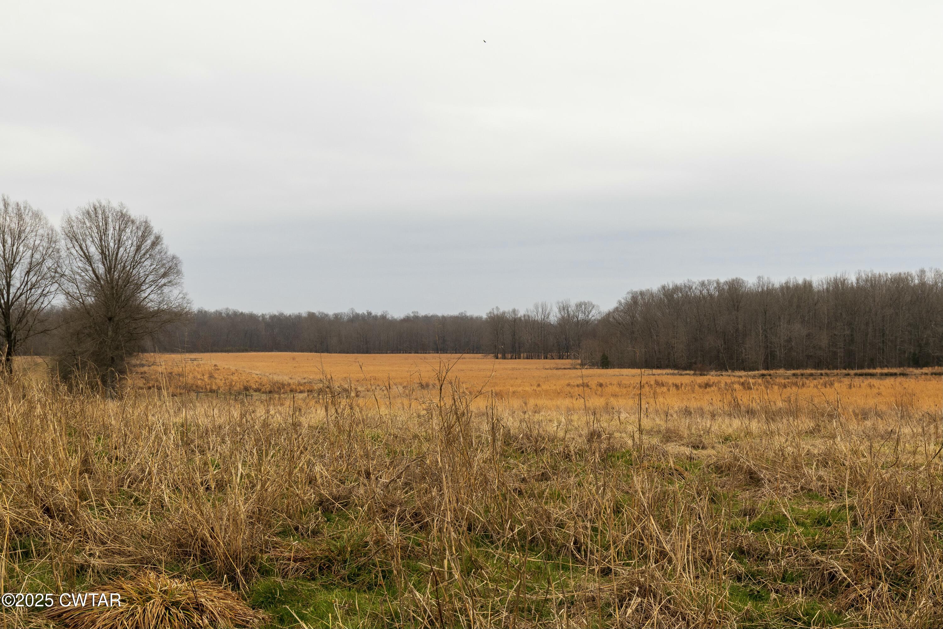 2940 Presley Ridge Road Sardis, TN 38371 - Photo 19 of 34 tempImagei3I1eg