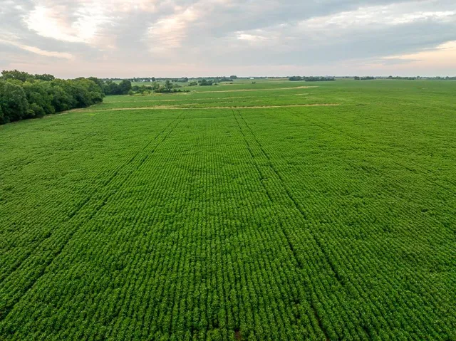 $2,655,000 | 600 Southwest Sw Road, Montrose, MO 64770