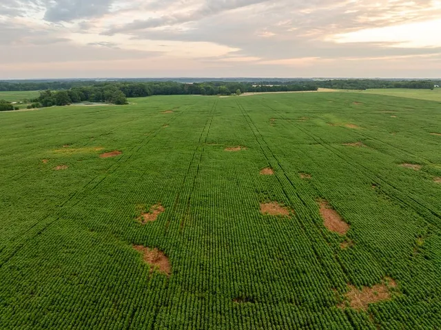 $2,655,000 | 600 Southwest Sw Road, Montrose, MO 64770