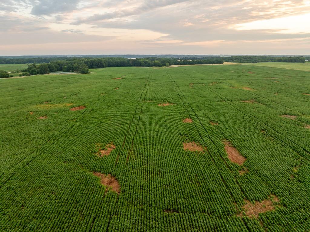 600 Southwest Sw Road Montrose, MO 64770 - Photo 27 of 63