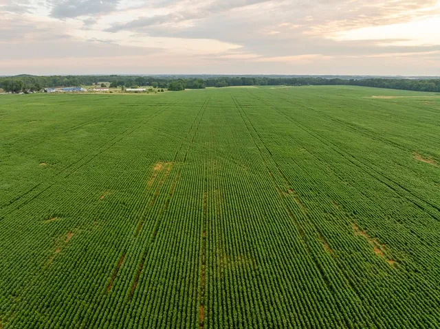 $2,655,000 | 600 Southwest Sw Road, Montrose, MO 64770