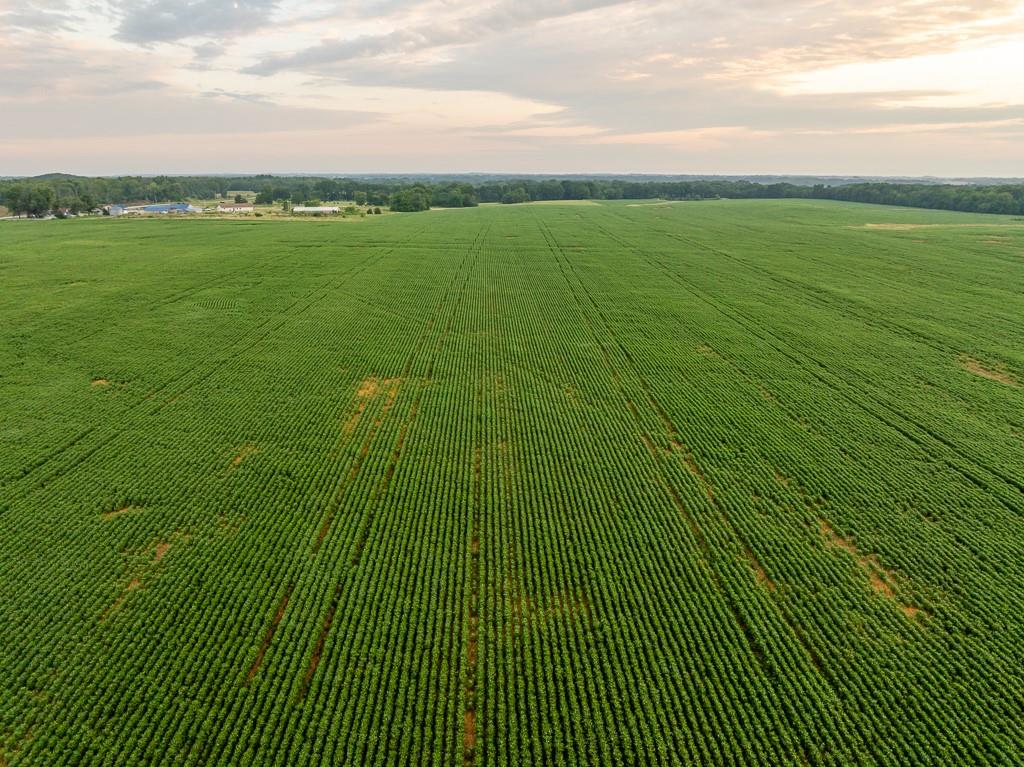 600 Southwest Sw Road Montrose, MO 64770 - Photo 30 of 63