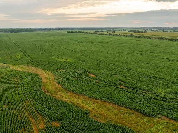 $2,485,000 | 600 Southwest Sw Road, Montrose, MO 64770