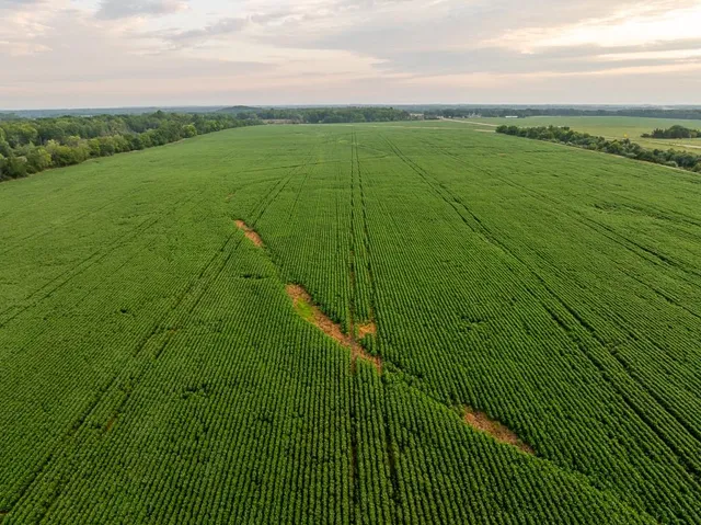 $2,655,000 | 600 Southwest Sw Road, Montrose, MO 64770